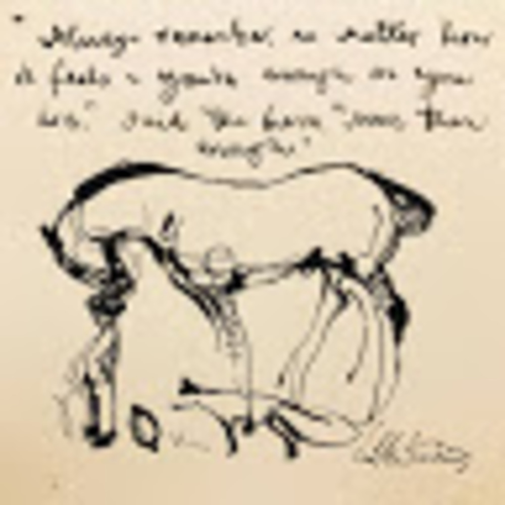 Meet your Posher, Jill